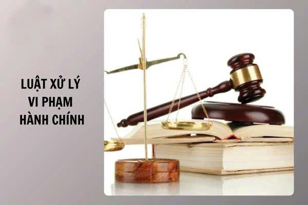 Khánh Hòa triển khai đồng bộ Luật sửa đổi, bổ sung một số điều của Luật Xử lý vi phạm hành chính trong lĩnh vực y tế